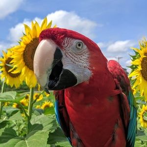 Meet your Posher, Jaime